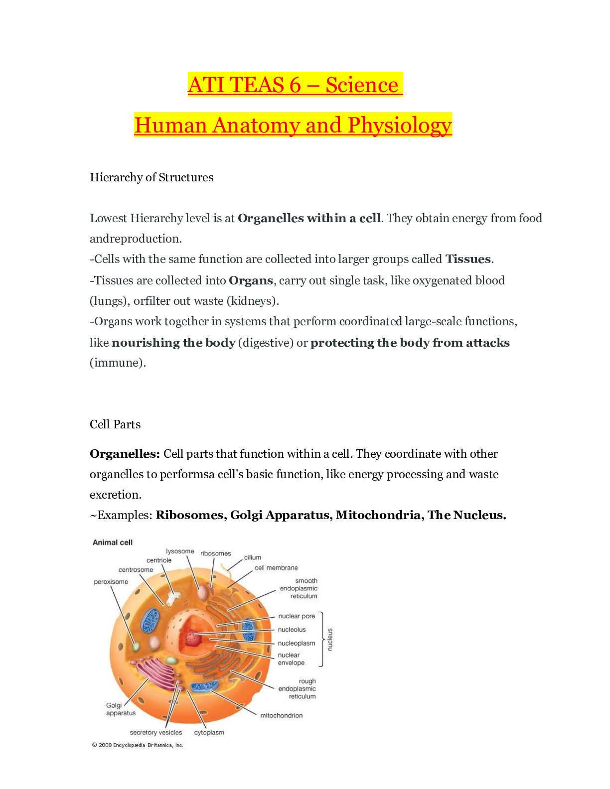 Preview image for ATI TEAS 6 – Science  Human Anatomy   and Physiology-revised to ace your study